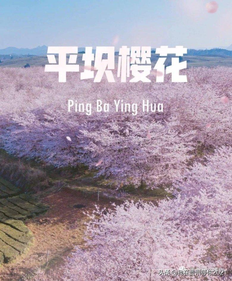 妙鸭相机app下载官网