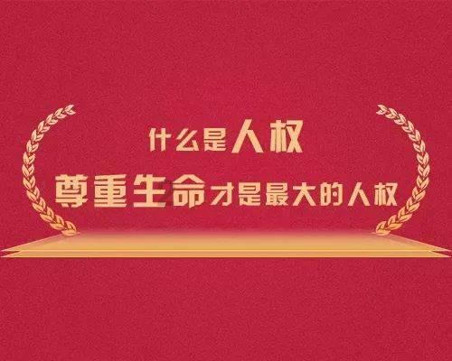 小猫钓鱼正版下载中文版