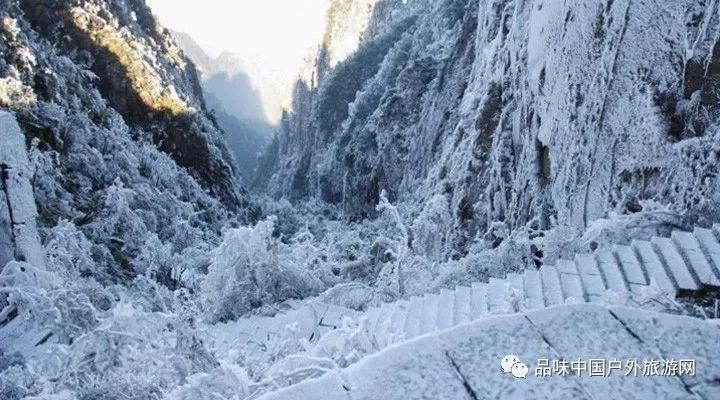 懦弱和老实是不是一个意思? - 专业问答社区
