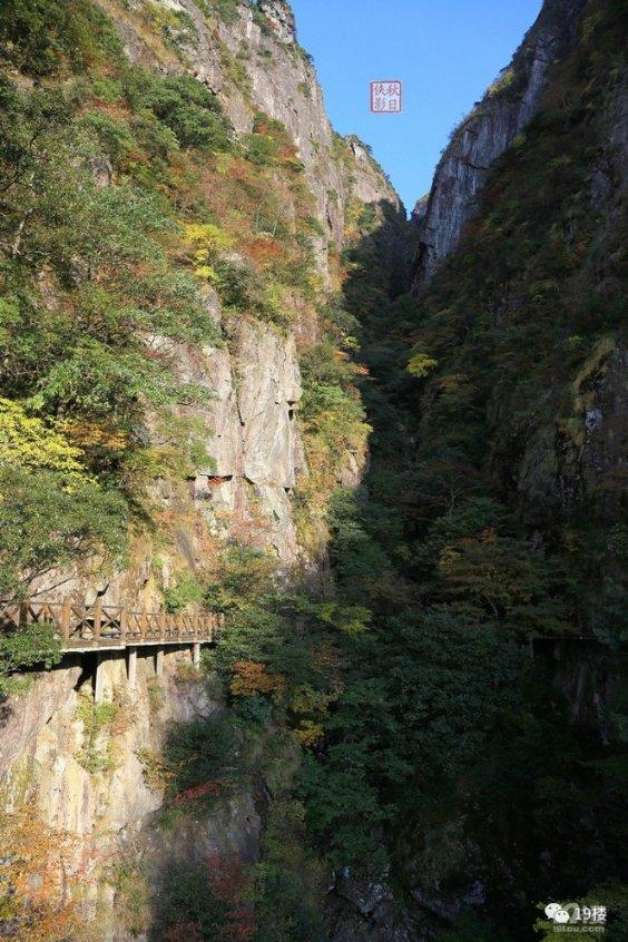 动物帮帮忙保卫家园