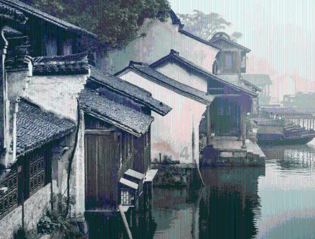 动物帮帮忙保卫家园